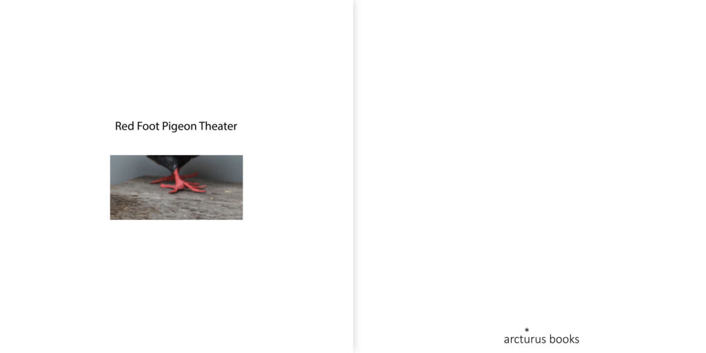 Red Foot Pigeon Theatre