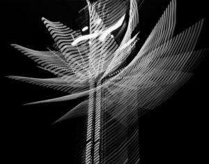 152500 Midway Lights