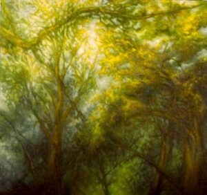 Towards the Light II