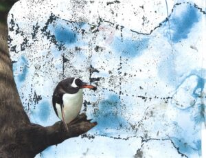 The Messenger Puffin