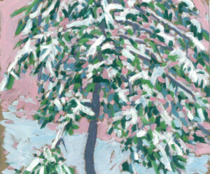 After the Snow, BalsamTree in the Backyard, Clear Lake