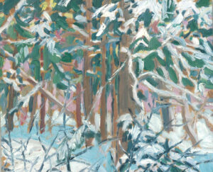 After the Snow - Tangled Woods, Clear Lake