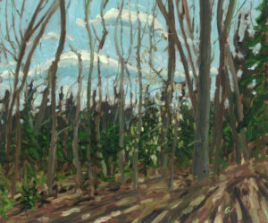 Cherry Spaling in the Hardwoods, Clear Lake