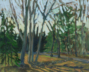 Early Evening Light, Clear Lake