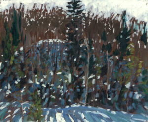 Hardwoods & Sunlight, Near Kearney ON