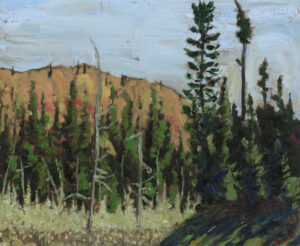 Larches & Hemlock, Burks Falls ON