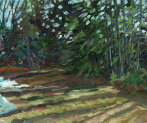 Last of the Snow, Front Yard, Clear Lake