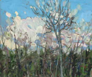 Wind and Trees, Clear Lake