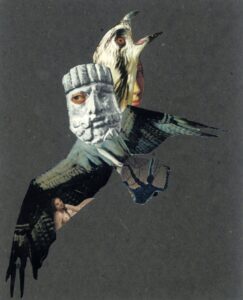 Falling Looking Flying