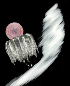 Stepping Lightly No10